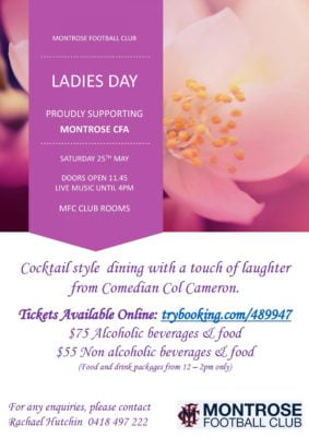 Ladies Day Flyer 2019 (updated 10.04.19) - Option 3-page-001